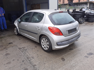 Peugeot 207 1400 td 2006 ricambi