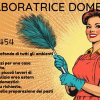 Collaboratrice domestica
