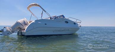 Aquabat Sport Cruiser 20