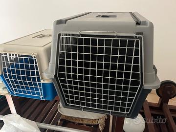 trasporter per animali