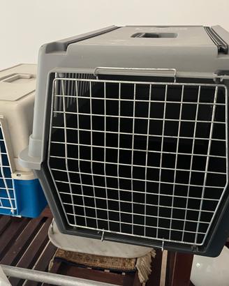 trasporter per animali