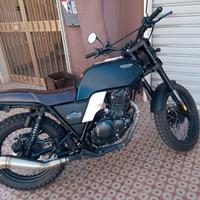 Brixton 250 felsberb