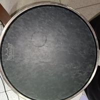 remo apex djembe