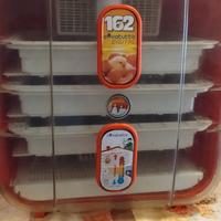 INCUBATRICE