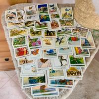 Carte Mercante in fiera Modiano