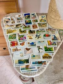 Carte Mercante in fiera Modiano