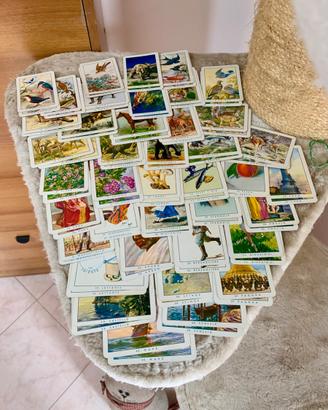 Carte Mercante in fiera Modiano