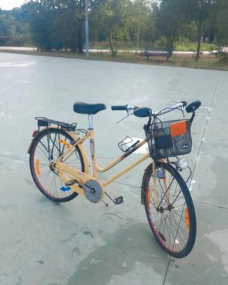 bicicletta 