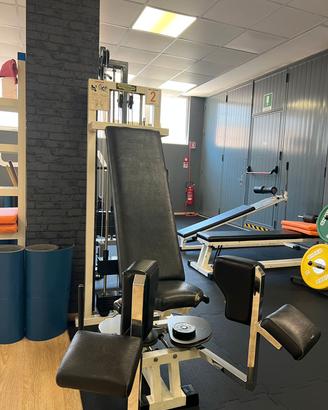 adductor technogym 