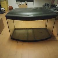 Acquario Ferplast Cayman 80 Scenic