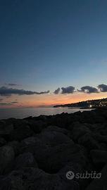 Operaio collaboratore