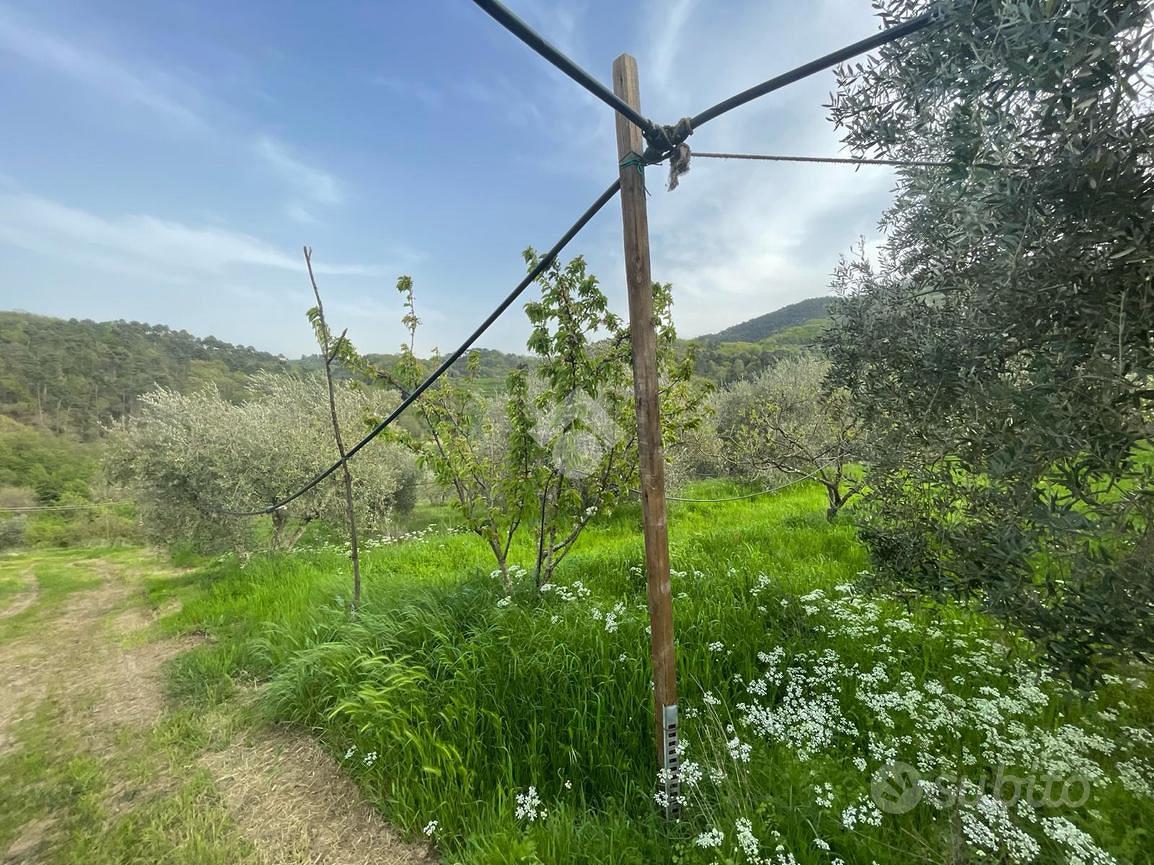 TER. AGRICOLO A PIEVE A NIEVOLE - Vista 5