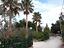 Immagine 10