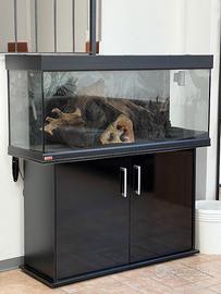 EHEIM Acquario 280 litri