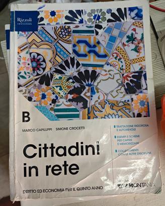 cittadini in rete 