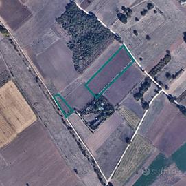 Terreni agricoli ad Ofena (AQ) - QUOTA 1/2