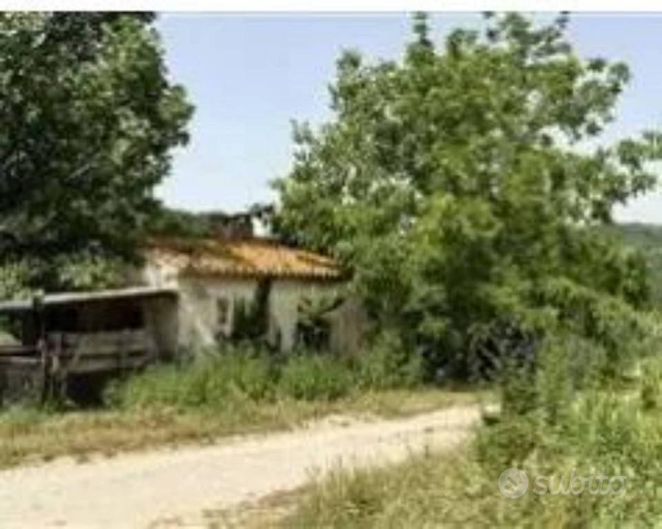 Immobile in asta di 528 m² a Tavoleto - Vista 3
