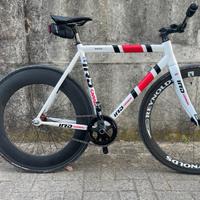 iride betulla scatto fisso 7,2 kg