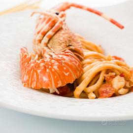 Cuoco chef stagione estiva