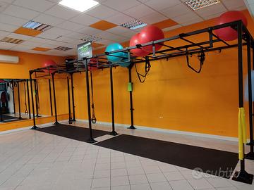 Monkey Bars professionale