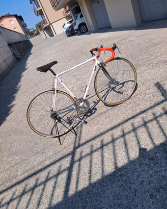 vianelli restaurata tagl54