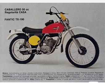 Ricambi per Fantic Caballero tx 190