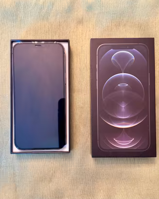 iPhone 12 Pro Max 256 GB – Perfette condizioni