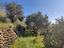 Immagine 28