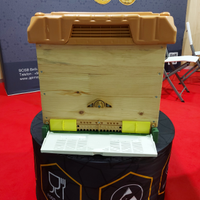 Arnia Dadant Apimaye