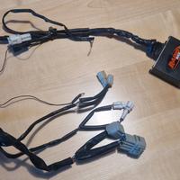 Centralina rapid bike 3 Yamaha r1 07/08