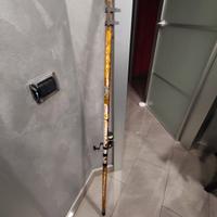 canna bolognese 7 Mt Milo 3000