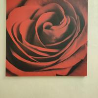 N. 2 stampe su tela IKEA