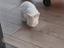 Immagine 5