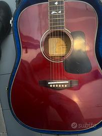 Acustica con custodia