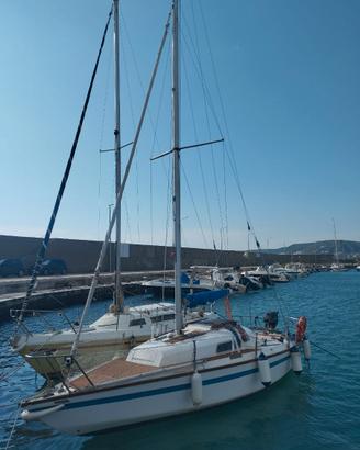 Barca a vela cabinato daysailer
