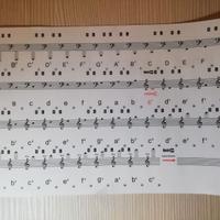 Adesivi note musicali per i tasti del pianoforte/t