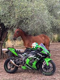 Kawasaki Ninja ZX-10 - 2016