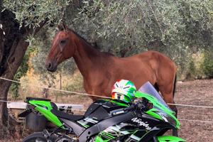 Kawasaki Ninja ZX-10 - 2016