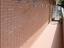 Immagine 12