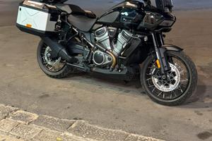 Harley  Davidson  panamerica 1250 special