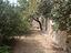 Immagine 21