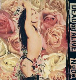 Dead Or Alive - Nude