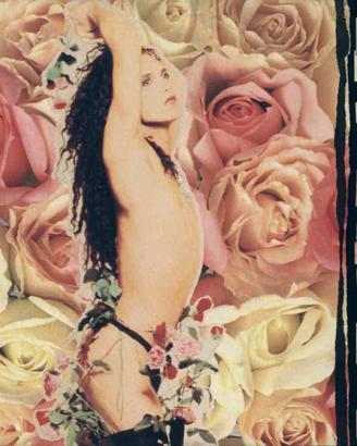 Dead Or Alive - Nude