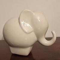 elefante Andrea Fontebasso 