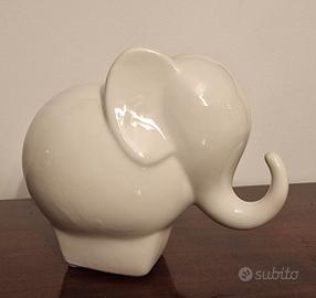 elefante Andrea Fontebasso 