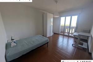 Camere singole x studentesse - zona b.go S.Croce