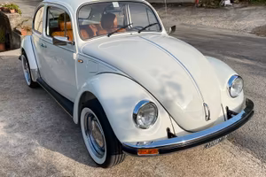 Volkswagen maggiolino