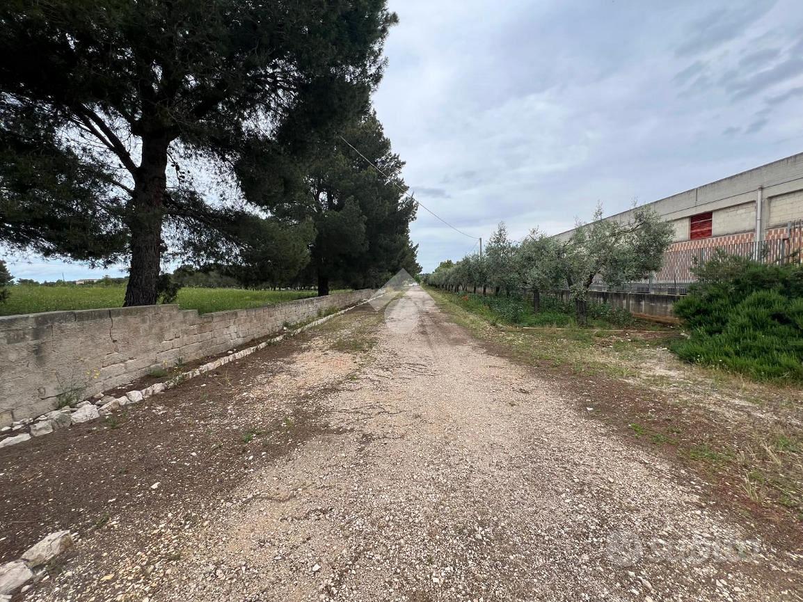 TER. RESIDENZIALE A ALTAMURA - Vista 4
