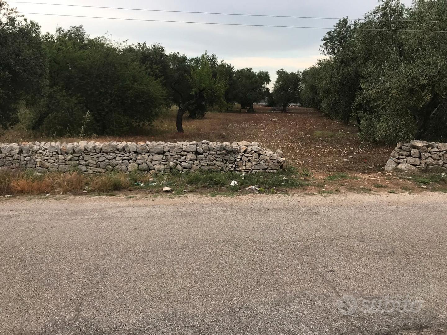 Terreno agricolo Valenzano - Vista 2