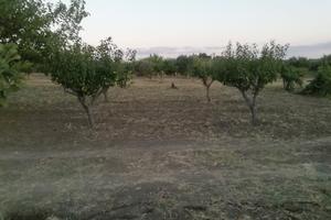 TERRENO AGRICOLO CON POTENZIALITÀ EDIFICATORIA